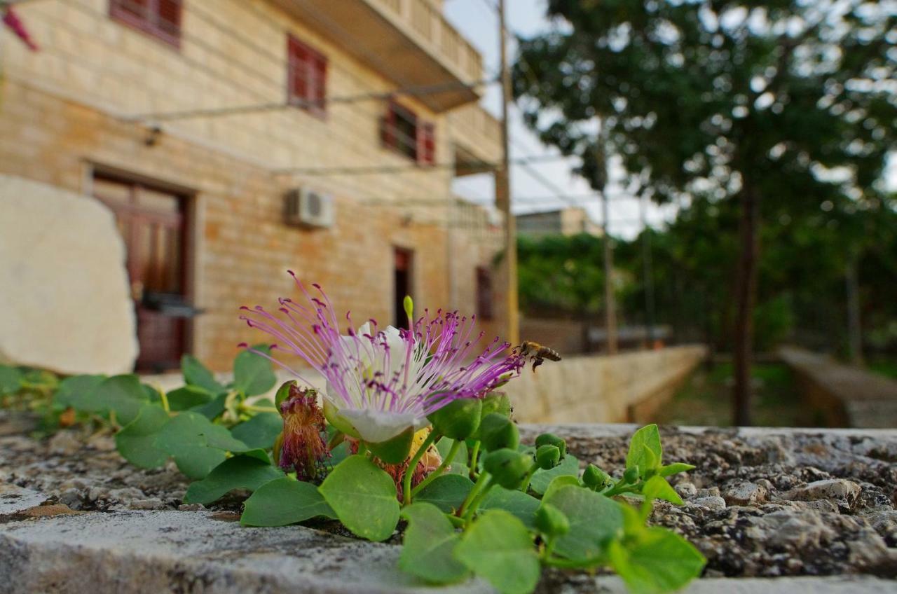 Large And Charming Apartment Near Beach With Big & Sunny Terrace Sumartin Esterno foto